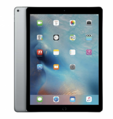 Used Apple iPad Pro 12.9-inch 1st Generation for Sale in Chicago